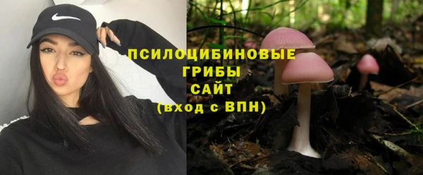 эйфоретик Алзамай