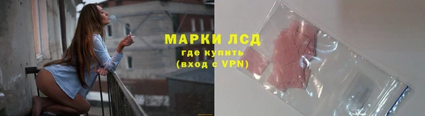 эйфоретик Алзамай