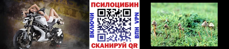 Галлюциногенные грибы GOLDEN TEACHER  дарнет шоп  Томмот 