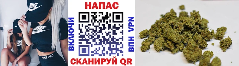 Конопля сатива  дарнет шоп  Томмот 